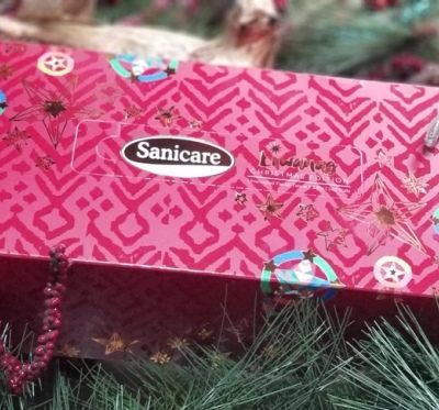 The Holiday Magic